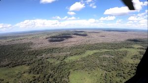 Justiça nega prisão de pecuarista investigado por desmate químico no Pantanal