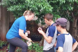 Cultivo de horta e plantas medicinais se aprende também na escola