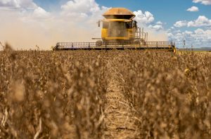 Medidas anunciadas são insuficientes para conter crise no agro em MT