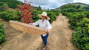Dia Mundial do Café: cafeicultura transforma vidas