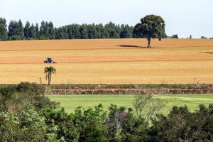 Governo convoca estados para arrecadação de terras para a reforma agrária