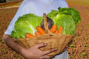 Paraná é o segundo estado com maior segurança alimentar do Brasil