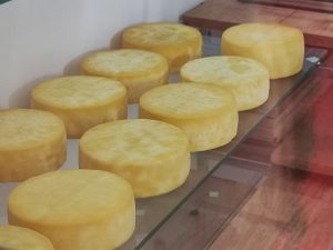 Queijo Colonial do Sudoeste vai virar Patrimônio Cultural do PR