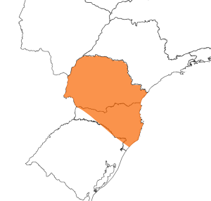 Alerta Laranja para boa parte da Região Sul