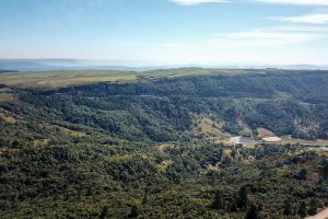 ICMS Ecológico: regularização de cadastro encerra no dia 30