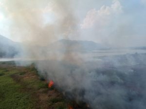 Mato Grosso do Sul decreta situação de emergência ambiental