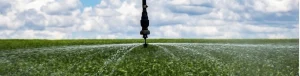 Dia Nacional da Agricultura Irrigada é instituído em 15 de junho