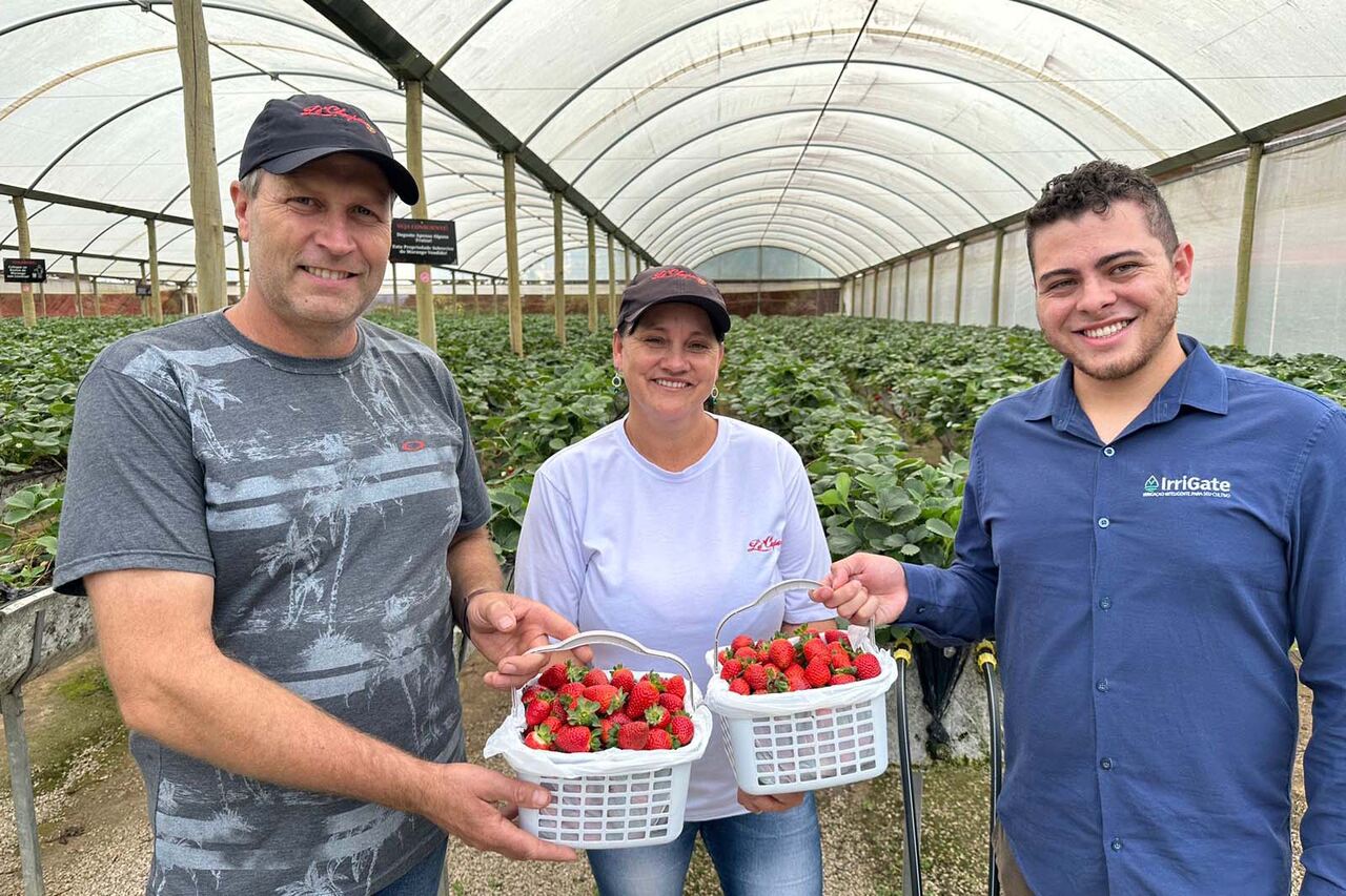 Startup curitibana desenvolve sistema de irrigação para a agricultura familiar