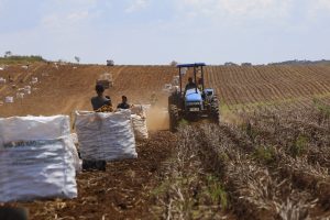 Atenção produtores: Portal Sou Agro explica como efetuar a renegociação de dívidas