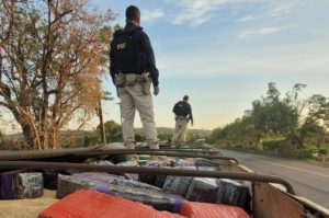 PRF apreende 2,5 toneladas de maconha escondidas em carga de soja