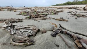 Pecinhas plásticas “invadem” litoral e intrigam pesquisadores