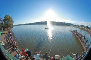 Excesso de peixes: 8 mil pescadores ajudam a despovoar lago de Cascavel