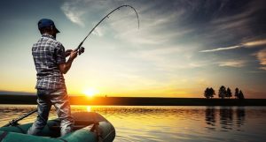 Lei que proíbe pesca e comercialização de 12 espécies de peixe deve ajudar na preservação e estimular a economia