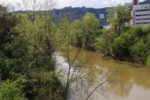 Após enchente histórica Rio Itajaí-Açu vai passar por dragagem