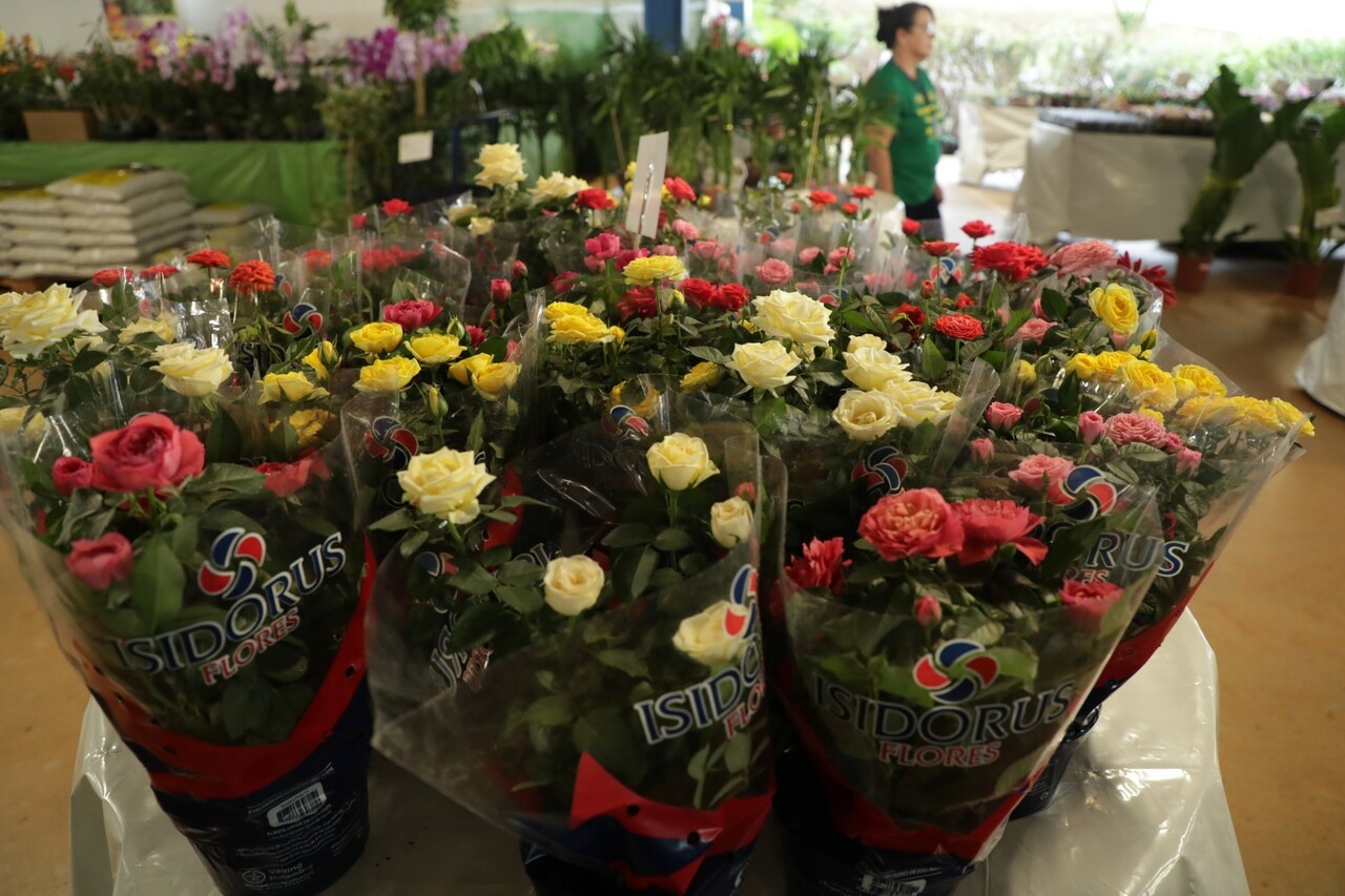Rotary Fest Flores terá mais de mil espécies da flora brasileira