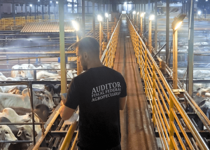 Mais de 300 auditores entregam cargos e entidade manifesta apoio