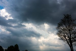 Fim da estiagem: Chuva veio para ficar!