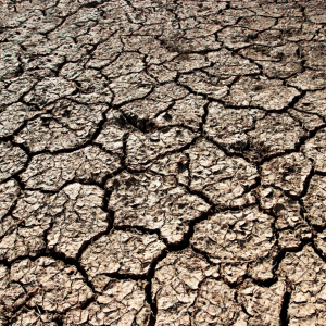 El Niño e La Niña: saiba mais sobre a influência dos fenômenos climáticos na agropecuária
