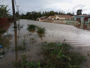 São Gabriel contabiliza R$ 170 milhões de prejuízo na safra de soja