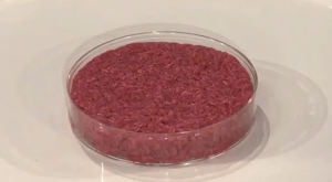 Carne artificial: o que é e como é feita?