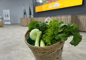 Associativismo fortalece produtores de unidades comunitárias