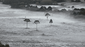 Cidades de SC amanhecem abaixo de -2ºC e com formação de geada pelo segundo dia seguido