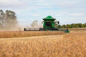MT se mantém como maior produtor de grãos do país em 2024