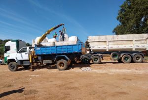 Produtores de leite gaúchos atingidos por chuvas recebem alimentação para animais