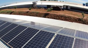 Queda de preço estimula produtores a aderir a usinas solares