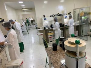 Pesquisa desenvolve derivados de própolis para uso na indústria alimentícia