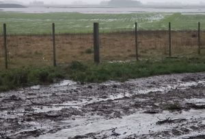 Recuperação do solo e de vias de escoamento são desafios do agro gaúcho
