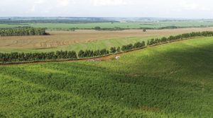 Laudos técnicos apontam divergências no Valor da Terra Nua em municípios do PR