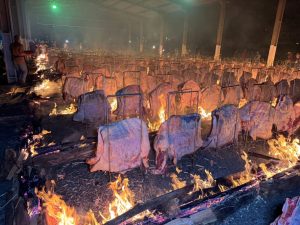 20 toneladas: Cascavel realiza churrasco com 600 costelões de fogo de chão