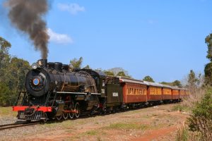 Trem dos Tropeiros: locomotiva a vapor percorre trajeto repleto de história