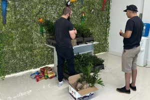 Um alimento por uma muda: campanha solidária do IAT reforça apoio ao RS