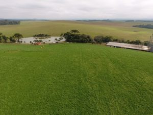 Epagri conquista Prêmio Expressão de Ecologia