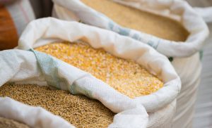 Decreto que regulamenta a inspeção e fiscalização de produtos para alimentação animal