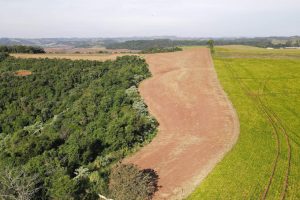 Ação resulta em R$ 2,8 milhões em multas e área embargada corresponde a 302 campos de futebol
