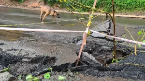 Susto: tremor de terra em Caxias do Sul