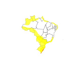 Atenção para novo alerta do Inmet: agora é para o frio!