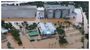 Armazém com 100 mil toneladas de soja rompe em Canoas