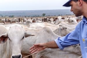Saiba mais sobre as zoonoses, doenças que migram dos animais para os humanos