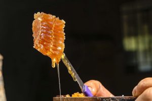Segundo maior produtor nacional, PR se destaca pela qualidade do mel