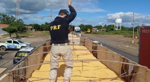 PRF apreende maconha na enchente e cocaína na carga de milho