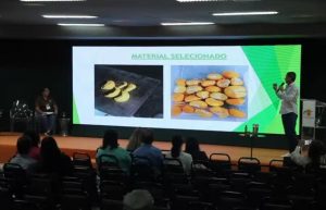 Que sonho! Agricultores apresentam pequi sem espinho e queijos para intolerantes à lactose