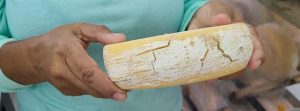 Minas produz requeijão a partir de queijo fora do padrão