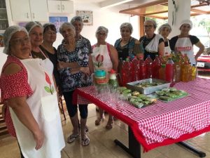 Oficina em Chapecó ensina a fazer bebidas à base de plantas