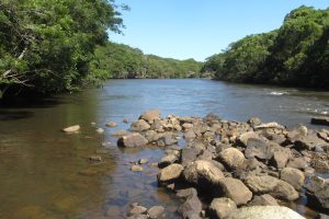 PR tem 55 mil hectares em Reservas Particulares de Patrimônio Natural