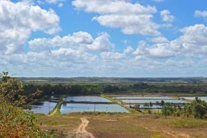 Embrapa vai testar tecnologia inovadora para mapear aquicultura no Brasil
