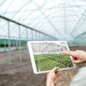 CNA lança programa para impulsionar startups do Agro